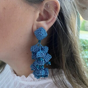 NWOT Sachin & Babi Grape Clip  Earrings